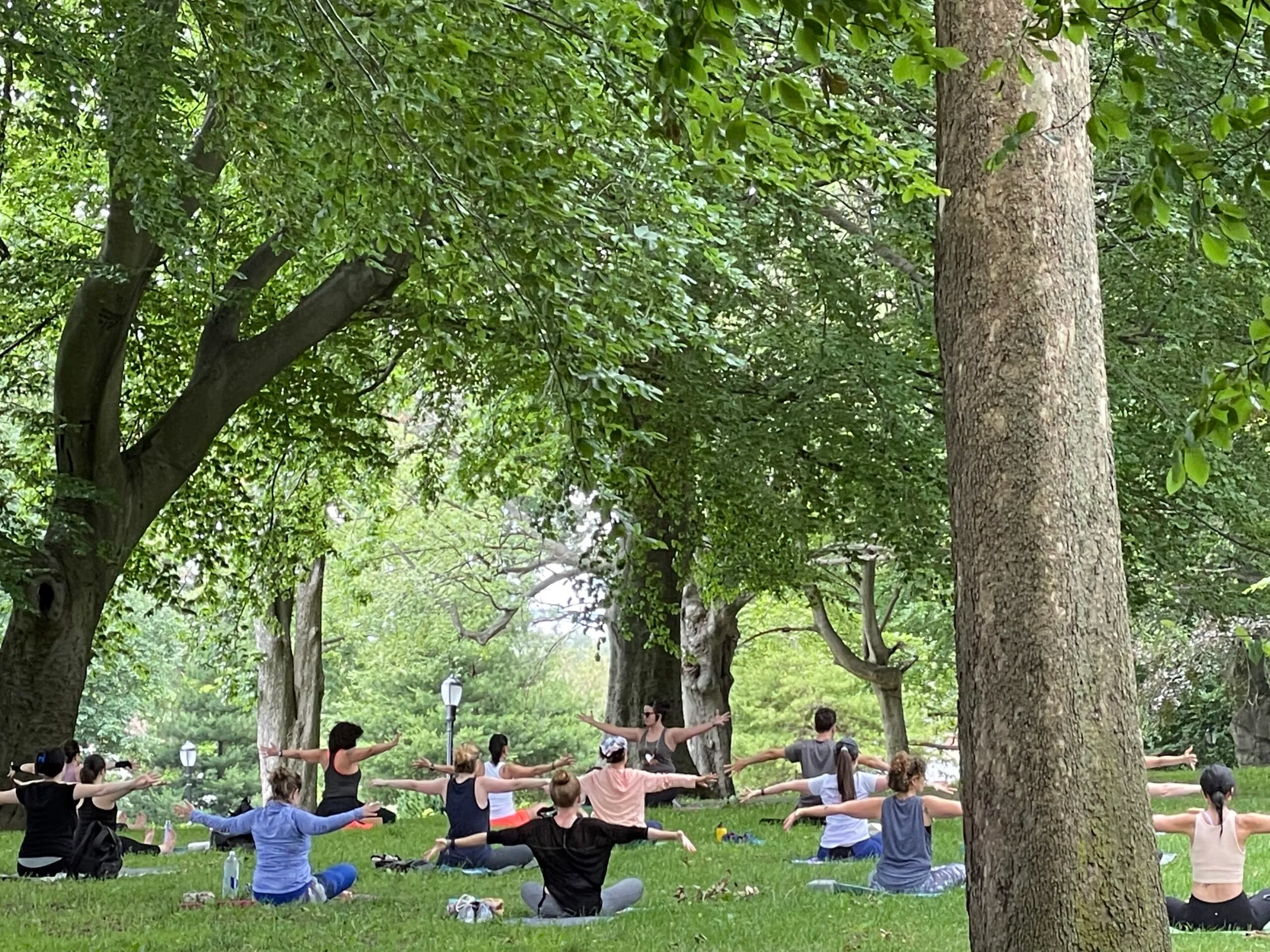 Students on the mat during class